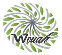 wouah logo